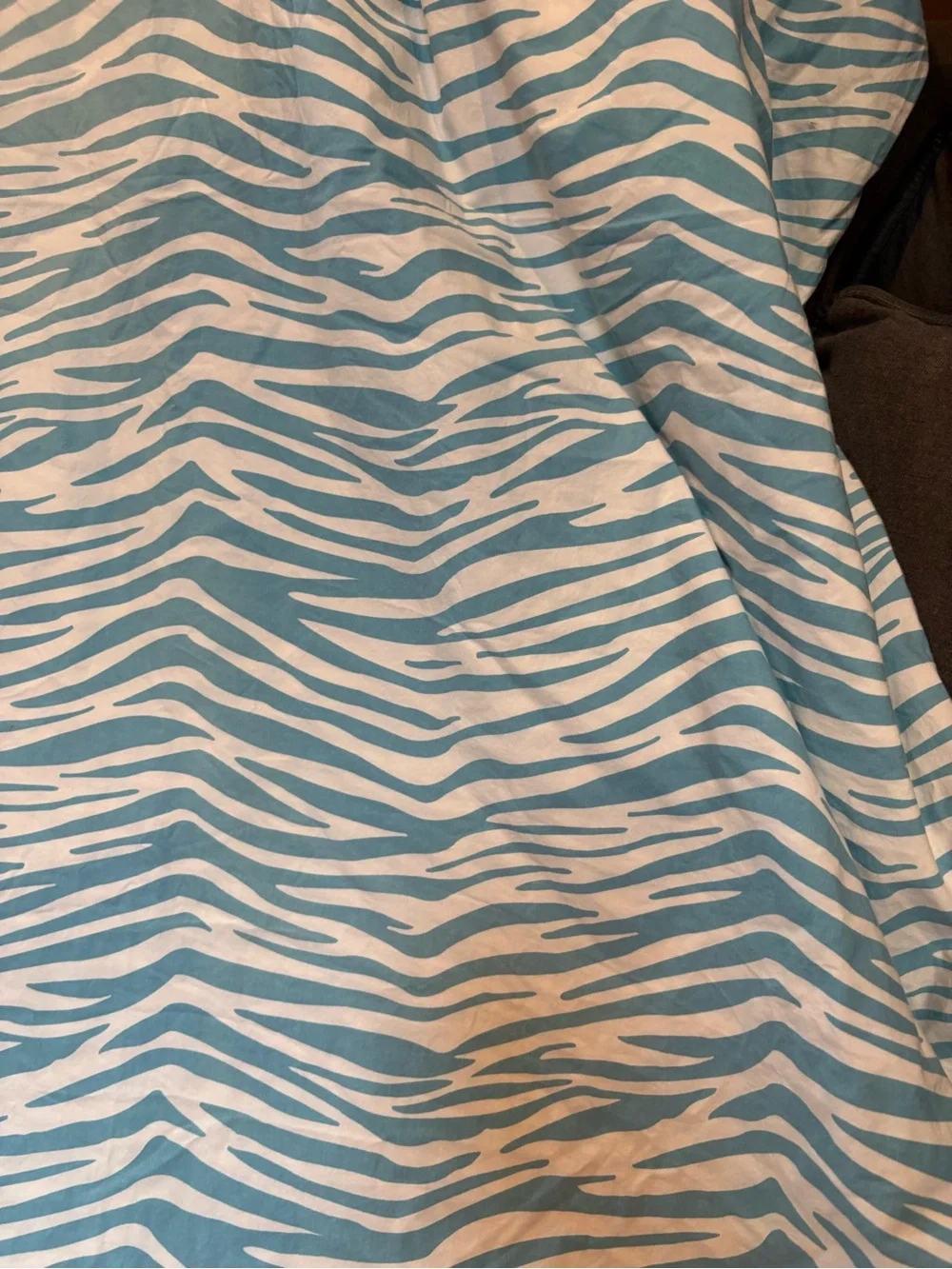 Pottery Barn Teen Y2K Blue Zebra Print Cotton Duvet Cover Full / Queen